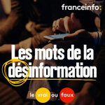 “Les fermes à trolls” : une arme de désinformation redoutable vignette