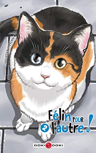 F&eacute;lin pour l'autre tome 2