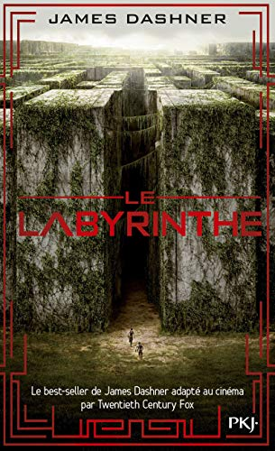 Le Labyrinthe Tome 1