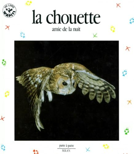 La chouette, amie de la nuit