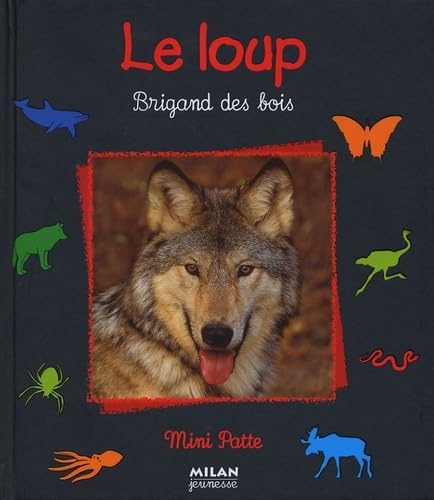 Le Loup Brigand des bois