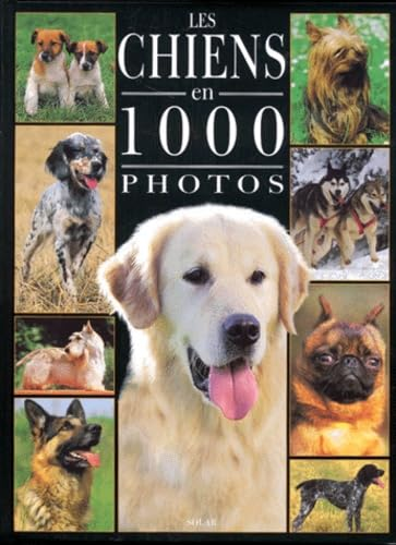 Les chiens en 1000 photos