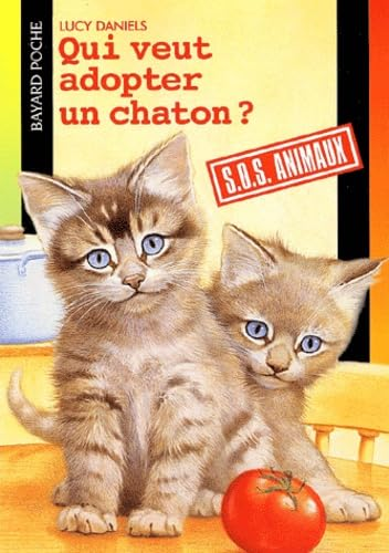 Qui veut adopter un chaton?