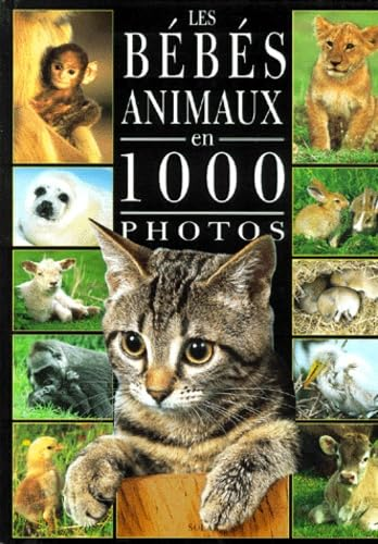 Les bébés Animaux en 1000 photos