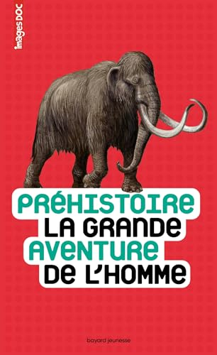 Préhistoire la grande aventure de l'homme