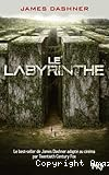 L'&eacute;preuve, tome 1 : Le Labyrinthe