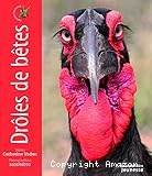 Dr&ocirc;les de b&ecirc;tes