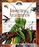 Insectes et araign&eacute;es