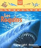 Les requins