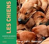 Les chiens racont&eacute;s aux enfants