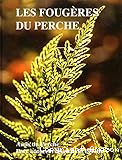 Les foug&egrave;res du Perche