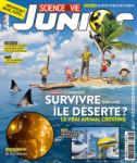 La vie n'est qu'un jeu