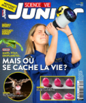 La formule de la bombe à eau parfaite