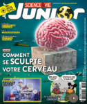 Ça vous chatouille ou ça vous gratouille ?