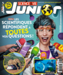 L'invasion des blocs marins