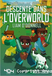 Descente dans l'Overworld