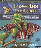 Insectes et araign&eacute;es