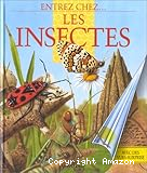 Entrez chez... Les insectes