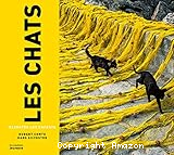 Les chats racont&eacute;s aux enfants