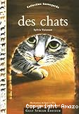 Des chats