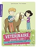 Vétérinaire pour la vie ! Au secours du poney-club
