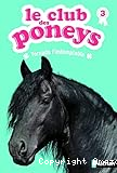 Le club des poneys T. 3 : Tornado l'indomptable