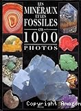 Les Minéraux et les fossiles en 1000 photos