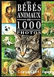 Les Bébés animaux en 1000 photos