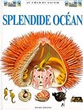 Splendide océan