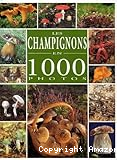 Les Champignons en 1000 photos