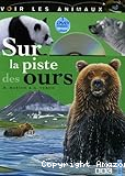 Sur la piste des ours
