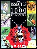 Les Insectes en 1000 photos