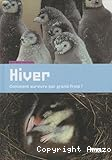 Hiver : comment survivre par grand froid ?