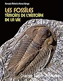Les fossiles : témoin de l'histoire de la vie