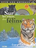 Sur les traces des félins