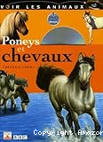 Poneys et chevaux