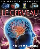 Le cerveau