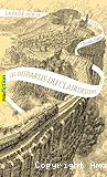 La Passe-Miroir T.2 : Les disparus du Clair de Lune