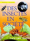 Insectes en société