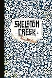 Skeleton Creek. 01, Psychose