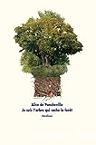 Je suis l'arbre qui cache la forêt