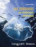 Les méduses, ces étranges animaux