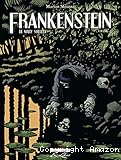 Frankenstein de Mary Shelley; 02