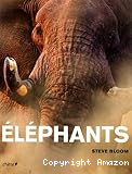 Éléphants