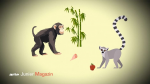 Dossier &eacute;cole : le zoo