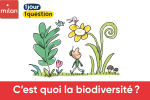 C’est quoi la biodiversité ?