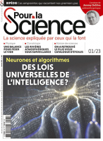 "Il y a depuis très longtemps des comportements bipèdes chez les primates"