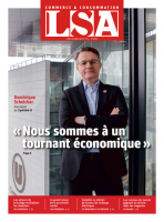 Les acteurs du bricolage multiplient les chantiers