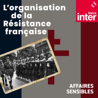 L&rsquo;organisation de la R&eacute;sistance fran&ccedil;aise