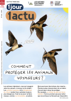 Pourquoi les oiseaux migrent-ils ?